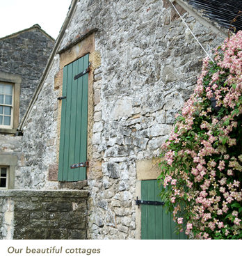 beautiful cottage