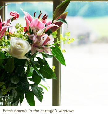 flowers in window