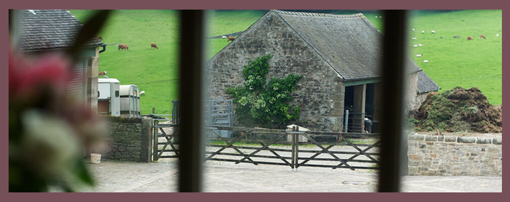 Over look a working farm from Winnets Cottage